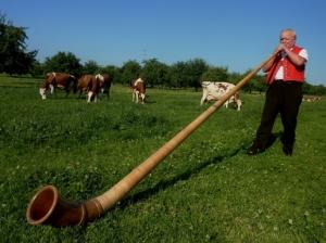 ernst gmuender 1.1 Comedia, Pantomima y Música Helvética toman la Plaza Los Palos Grandes