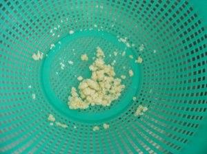 OLYMPUS DIGITAL CAMERA Reactivas el Kéfir