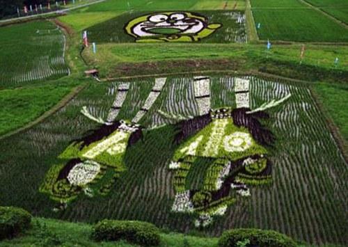 Obras de arte en los campos de arroz Japoneses