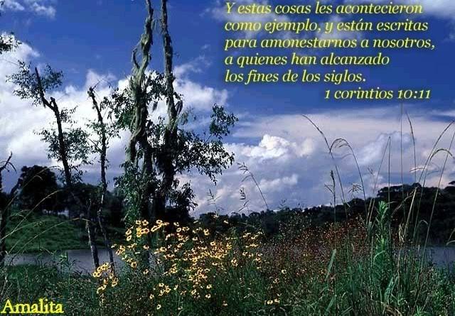 LA MADRE DE TODOS LOS PECADOS LA MADRE DE TODOS LOS PECADOS