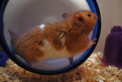 De vuelta y vuelta De vuelta y vuelta