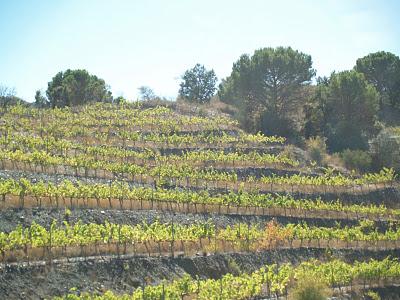 Un domingo en el Priorat Un domingo en el Priorat