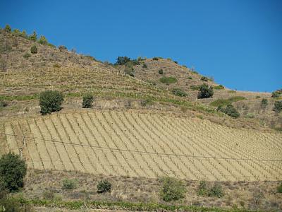 Un domingo en el Priorat Un domingo en el Priorat