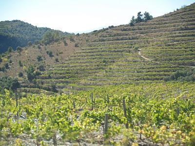 Un domingo en el Priorat Un domingo en el Priorat