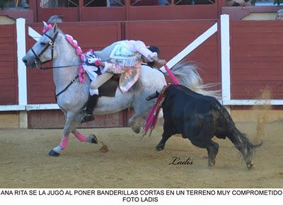FESTIVAL DE TOREO A CABALLO EN MONTORO FESTIVAL DE TOREO A CABALLO EN MONTORO