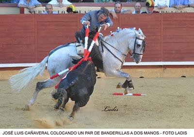 FESTIVAL DE TOREO A CABALLO EN MONTORO FESTIVAL DE TOREO A CABALLO EN MONTORO