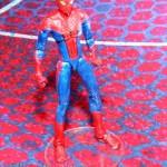 IMG_6299__scaled_600 IMG_6299__scaled_600