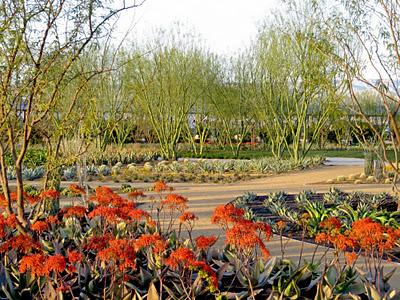 Sunnylands Center and Gardens / The Office of James Burnett , Frederick Fisher + Partners