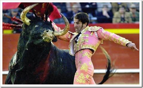 toro-marques toro-marques