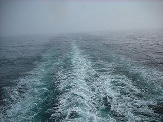 Tenía esa extraña forma de quererme. Como un amante cland... Tenía esa extraña forma de quererme. Como un amante cland...