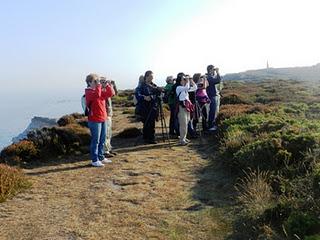 Excursión a Cabo Peñas de SEO-Asturias Excursión a Cabo Peñas de SEO-Asturias