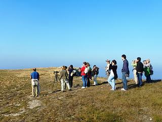Excursión a Cabo Peñas de SEO-Asturias Excursión a Cabo Peñas de SEO-Asturias
