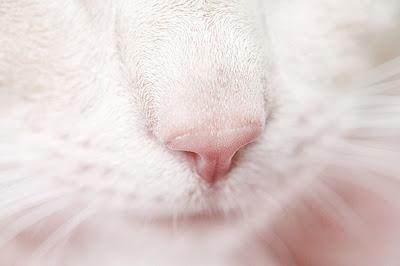 Los lazos del destinoLa felicidad en la sangre humanaLa m... Los lazos del destinoLa felicidad en la sangre humanaLa m...