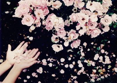 Los lazos del destinoLa felicidad en la sangre humanaLa m... Los lazos del destinoLa felicidad en la sangre humanaLa m...