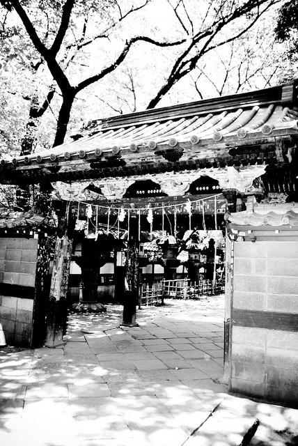 Ueno Park