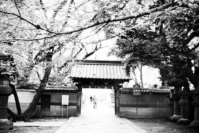 Ueno Park