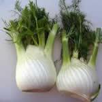 planta medicinal hinojo planta medicinal hinojo