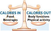 Como influyen las calorías de nuestra dieta en el metabolismo