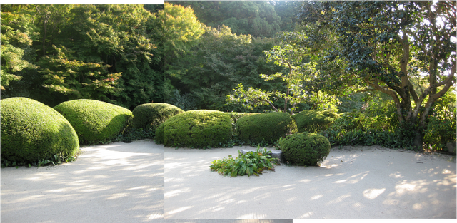 Homenaje al Jardín Japonés