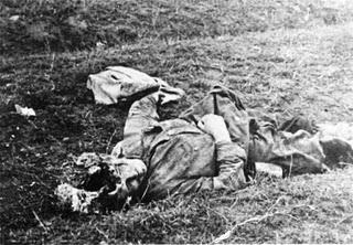 Concluye la doble batalla de cerco de Vyazma y Bryansk - 20/10/1941. Concluye la doble batalla de cerco de Vyazma y Bryansk - 20/10/1941.
