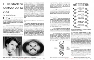 Journal of Feelsynapsis: revista gratuita online de divulgación científica