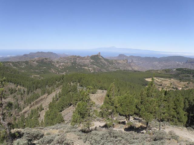 La ley del Roque Nublo: El alto precio de la victoria (Una Odisea inacabada) - Crónica del Ultra Trail Gran Challenge Gran canaria... La ley del Roque Nublo: El alto precio de la victoria (Una Odisea inacabada) - Crónica del Ultra Trail Gran Challenge Gran canaria...