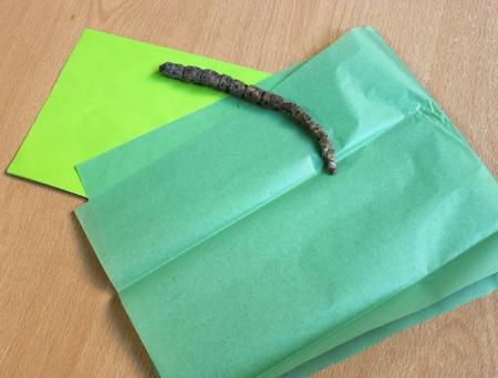 montaje-bolsa-escoba Bolsa-escobas