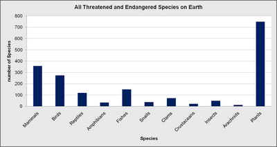 8,7 millones de especies existen en la Tierra, 88% aún sin descubrir