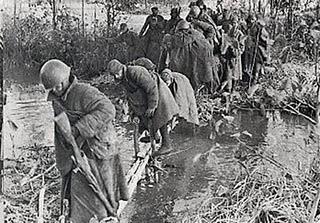 Operación Beowulf: El asalto anfibio de las islas bálticas – 21/10/1941. Operación Beowulf: El asalto anfibio de las islas bálticas – 21/10/1941.