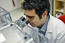idibell Nuevo tratamiento para el cáncer infantil