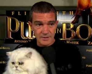 Cat Premiere con Antonio Banderas y el Gato con botas