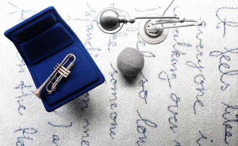 Alfombras desde el techo Alfombras desde el techo