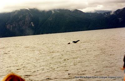 Alaska 1996 (3): Southeast Alaska (Juneau, Petersburg)