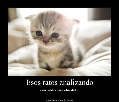 En las relaciones todo suele parecer perfecto, y tanto el hombre como la mujer creemos que la relación