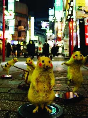 Nueva performance japonesa de cazar ratas para disecarlas con la apariencia de Pikachu