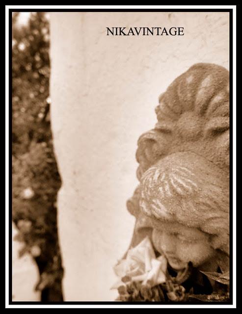 Bebedero para Pajaros Bebedero para Pajaros