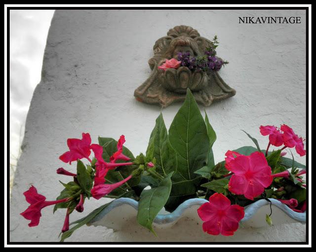 Bebedero para Pajaros Bebedero para Pajaros