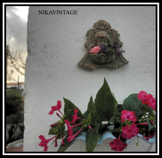 Bebedero para Pajaros Bebedero para Pajaros