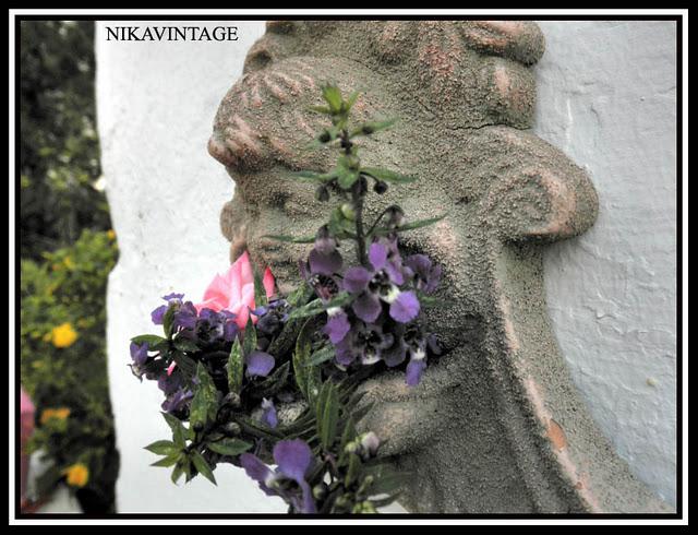 Bebedero para Pajaros Bebedero para Pajaros