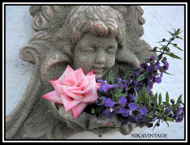 Bebedero para Pajaros Bebedero para Pajaros