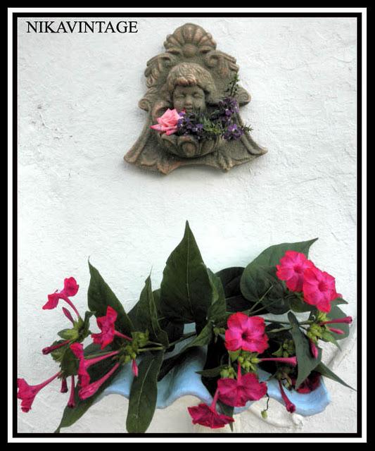 Bebedero para Pajaros Bebedero para Pajaros