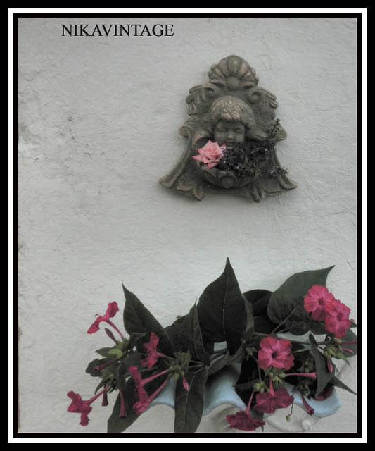 Bebedero para Pajaros Bebedero para Pajaros