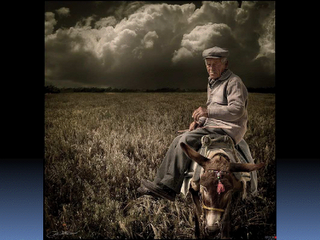 Las cepas E. coli toman las autopistas sin control de alcoholemia!! Las cepas E. coli toman las autopistas sin control de alcoholemia!!