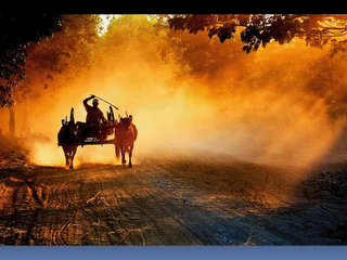 Las cepas E. coli toman las autopistas sin control de alcoholemia!! Las cepas E. coli toman las autopistas sin control de alcoholemia!!