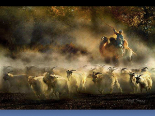 Las cepas E. coli toman las autopistas sin control de alcoholemia!! Las cepas E. coli toman las autopistas sin control de alcoholemia!!