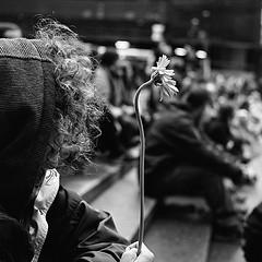 Vuelva usted mañana Vuelva usted mañana