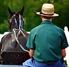amish Un paso más lento