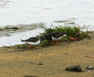 Control en Bañugues Control en Bañugues