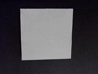 Base de Pinguino Base de Pinguino