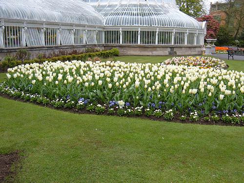 Botanic Gardens de Belfast The Palm House, Botanic Gardens, Belfast